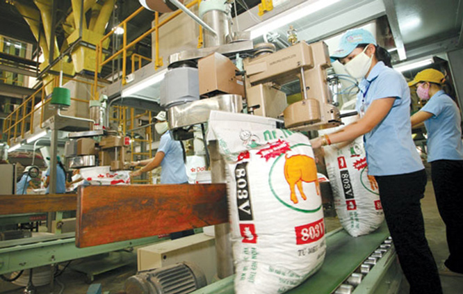 Leader de l ASEAN dans l alimentation animale, le Vietnam dépense encore des milliards de dollars en importations